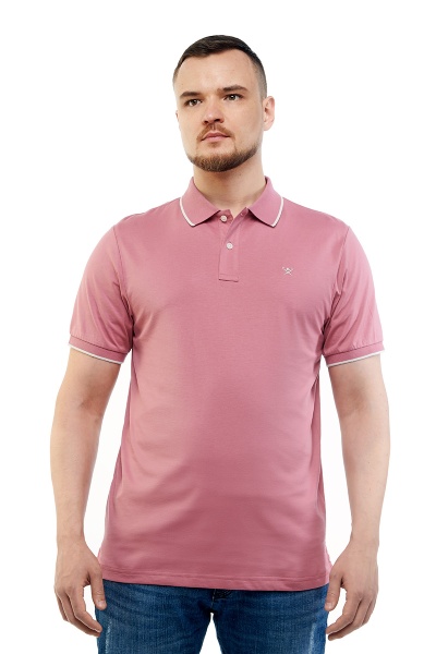 Polo_HACKETT_s_korotkim_rukavom_10019