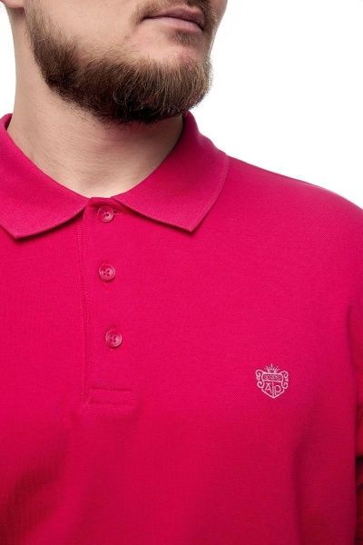 Polo_ALAN_PAINE_s_logotipom_10268